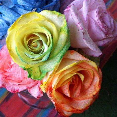 Make Tie Dye And Rainbow Roses Crafty Chica