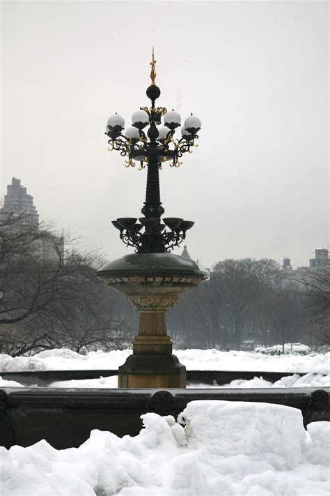 รูปภาพ ต้นไม้ หิมะ ฤดูหนาว ดอกไม้ อนุสาวรีย์ รูปปั้น การสะท้อน
