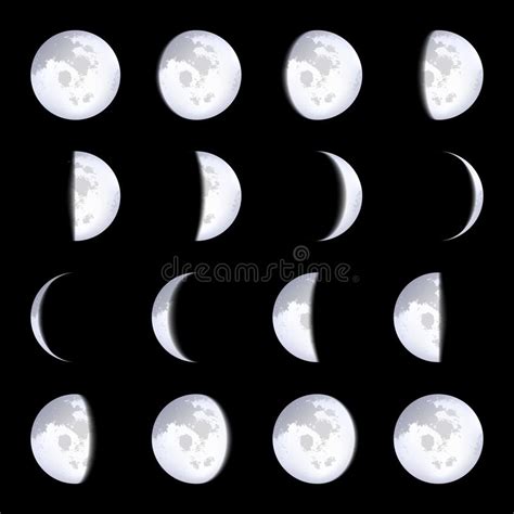 Moon Calendar 2020 Year Lunar Phases Cycles Design Illustrated With