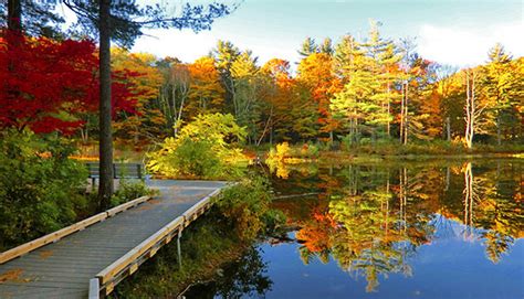 Photos Americas 21 Best Spots For A Fall Vacation Wtop News