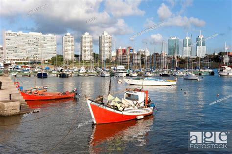 Montevideo Marina And Skyline Uruguay South America Stock Photo