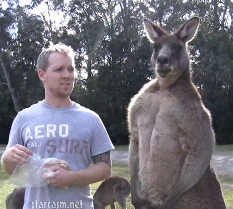 VIDEO Buff kangaroo goes beast mode outside mental hospital * starcasm.net