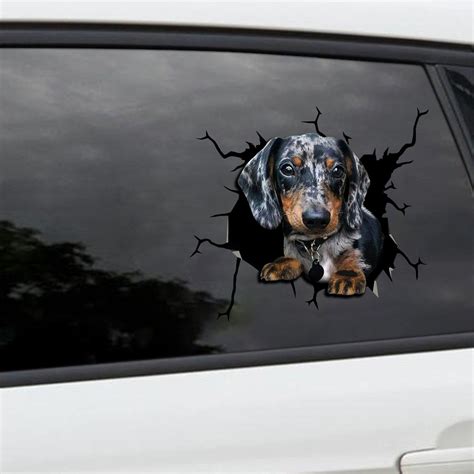 Dachshund Car Decal Rear Window Dog Funny 3d Sticker Vinyl Etsy