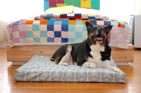 Match the style & feel of the room & have a super comfortable, pretty daybed. Custom Dog Bed | Custom dog beds, Diy dog bed, Dog bed