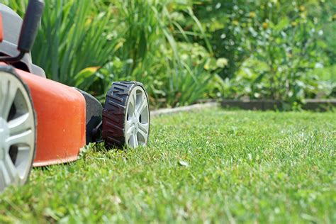 Lawn Care And Maintenance Tips For A Perfect Lawn Install It Direct