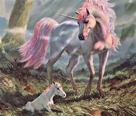 3840x2160px 4k Free Download Unicorn Mama With Her Baby Baby