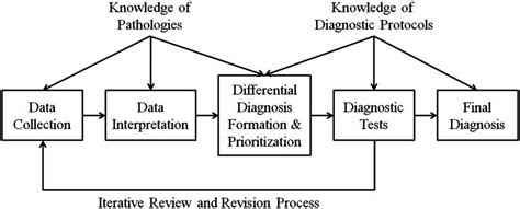 Model Of The Medical Diagnostic Process Download Scientific Diagram