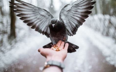 To make the event less hectic, consider preparing salads and desserts on the day before the party. Entertaining Angels | Leeds Church Institute