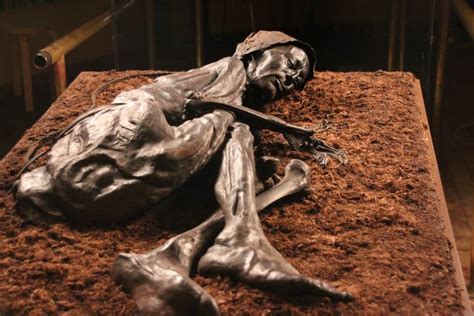 The Remarkably Well Preserved Body Of The Tollund Man And His Last