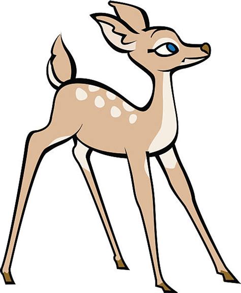 Best Fawn Illustrations Royalty Free Vector Graphics And Clip Art Istock