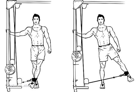 Keep your lower arm bent and positioned under your head for support while the upper arm rests upon your upper hip. Cable Hip Abduction / Adduction - WorkoutLabs Exercise Guide