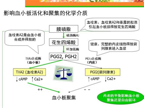 Yi yi yi yi, 伊依以翼 other names: 凝血相关药物科普篇一 止血凝血生理过程简单介绍 这幅图可以看出血栓形成需要血小板，纤维蛋白形成，大家可以反着想，在 ...