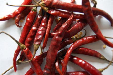 For a simple chile de arbol salsa you are just adding the drained chiles de arbol to a blender along with: Chile de árbol | Chiles... piments... peppers. chile de ...