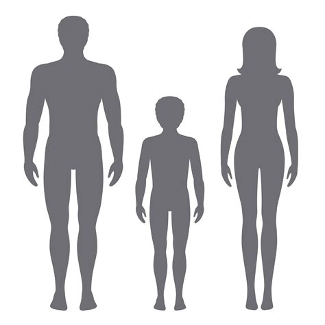 Vector Illustration Of Man Woman And Child Body Proportions Of Human