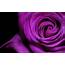 Dark Purple Wallpaper  HD Desktop Wallpapers 4k