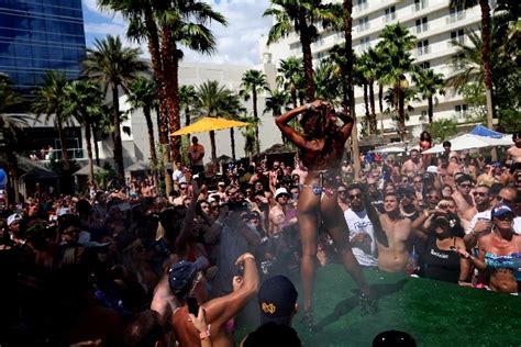 Photo Story Bikini Invitational Celebrates Beauty Of Bodies Las Vegas Review Journal
