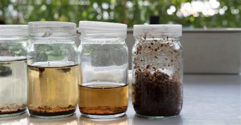 Not every kit involves the same order of operations, but generally the process involves the following steps: How to Test Soil pH at Home without a Test Kit