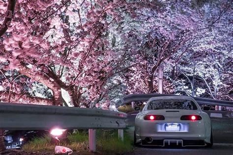 Jdm Cherry Blossom Car Wallpaper Timeless Classic Toyota Supra The