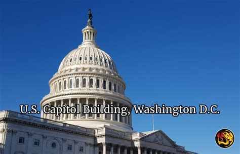 To use a filibuster against (a legislative measure, for example). Senate Filibuster's Future Shaky, Meaning Radical Agenda ...