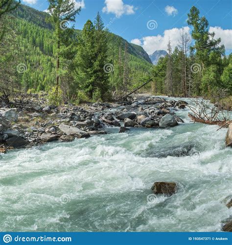 Wild River In The Mountains Of Siberia A Stormy Stream A Fallen Tree
