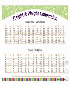 41 Frame Size Height Weight Chart Framesize