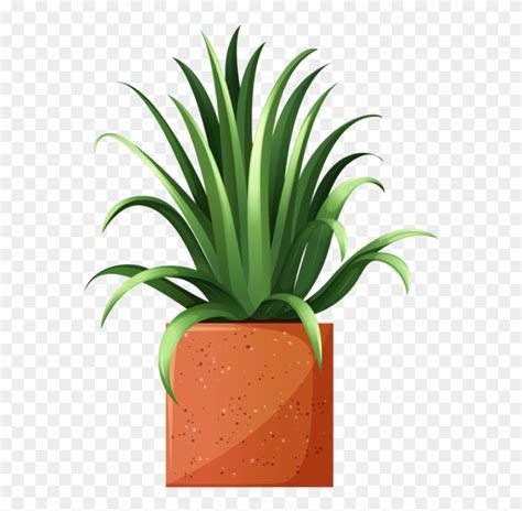 Clip Art Of Beautiful Plants For The Spring Garden House Plant Clip