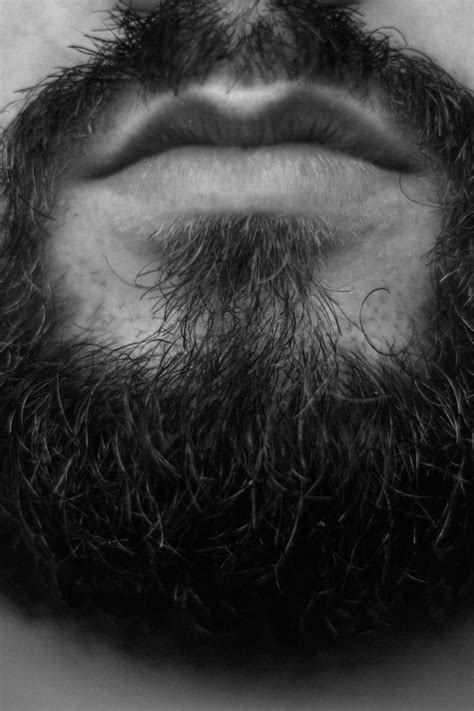 How To Brush A Beard The Refined