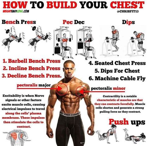 Pin On Chest Workouts
