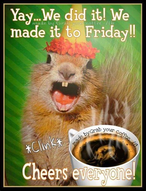 When you want the best of funny wishes for your best of friends, try this collection of most hilarious/funniest good morning text messages for friends. Squirrel meme Friday coffee quote. | Friday coffee quotes ...