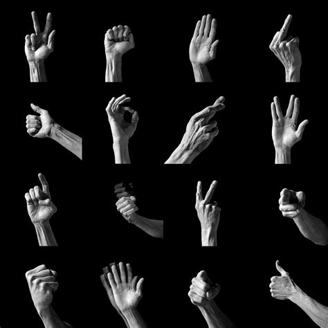 Hand Gestures By Peter Aprahamian Science Photo Library