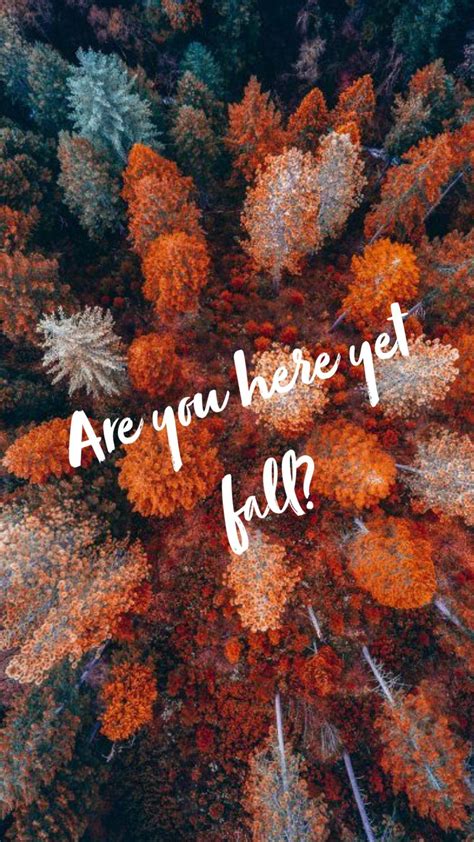 Autumn Aesthetic Wallpapers Wallpaper Cave