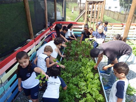 Projeto Horta Na Educação Infantil De Acordo Com A Bncc