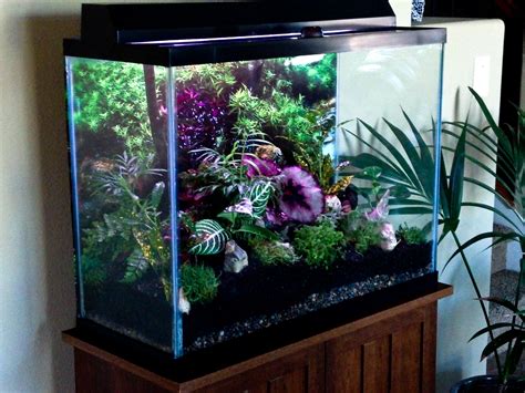 A Fish Tank Filled With Plants On Top Of A Wooden Table