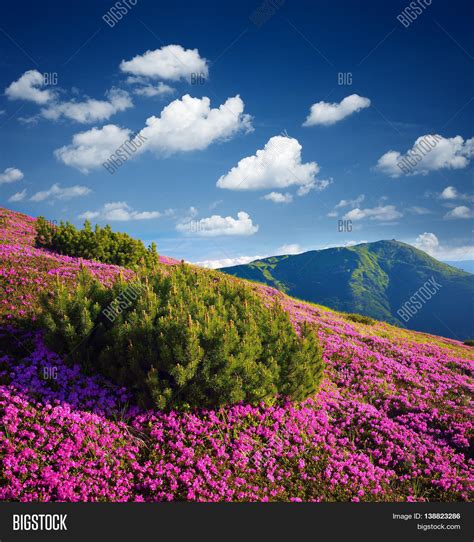 Sunny Day Mountains Image And Photo Free Trial Bigstock