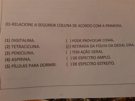 Associe A Segunda Coluna De Acordo Com A Primeira