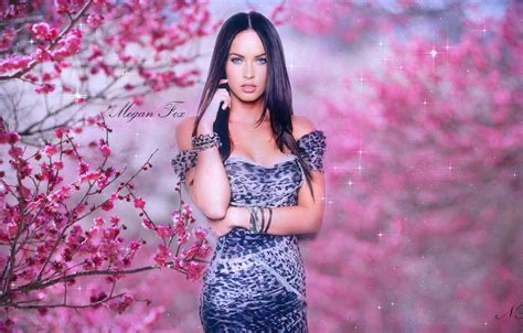 Photo Wallpaper Girl Megan Fox Megan Fox Cherry Blossom Wallpaper Drawing 1332x850