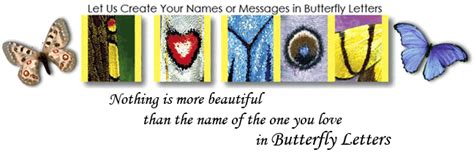 Butterfly Posters Books Prints And Ts