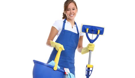 Auxiliar De Limpieza Personal De Limpieza Cleaning Staff Personal De