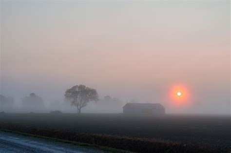Sunrise Fog Summer Free Photo On Pixabay Pixabay