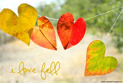 Fall Leaves Heart Amazing Wallpapers