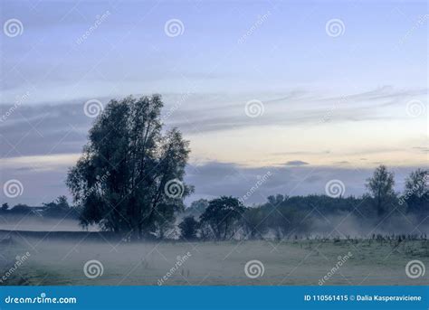 Outstanding View One Foggy Evening Stock Image Image Of View