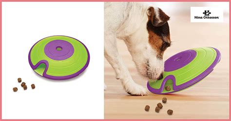 6 Best Interactive Treat Dispensing Dog Toys Of 2023 We Are Dog People