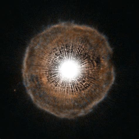 U Camelopardalis Bright Star Is Surrounded By A Tenuous Shell Of Gas