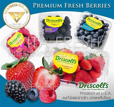 vegetable imported fruit imported Fresh Product | VITAFRESH , Finest 