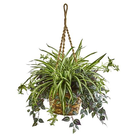 30 Wandering Jew And Spider Artificial Plant In Hanging Basket Nearly