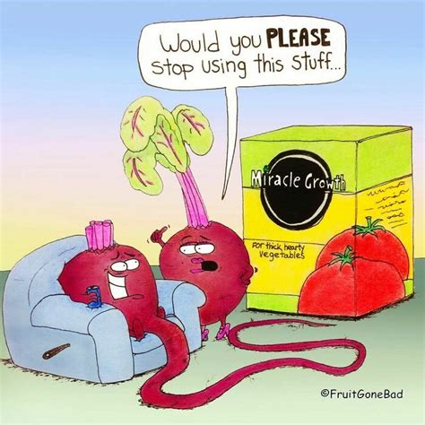 30 Slightly Inappropriate Comics From Fruit Gone Bad With Funny And