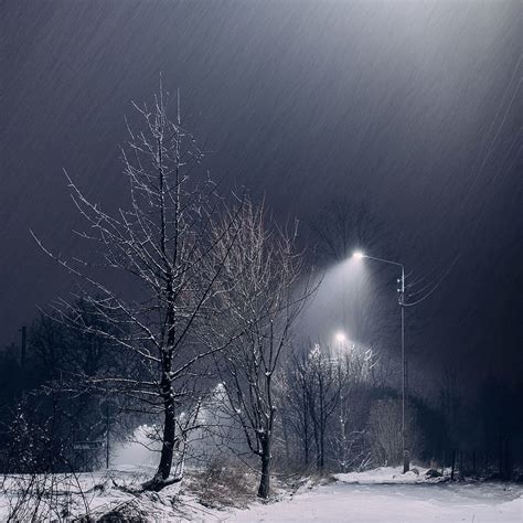 Snow Dark Night Trees Lights Lamp Posts Sky Outdoors Nature