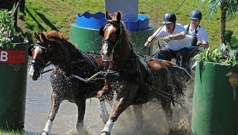 Learn To Do Combined Driving Horse Driving Trials National Competition