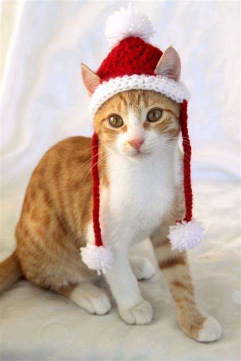 Santa Cat Hat Crochet Pattern Fun And Festive Christmas Etsy Cat