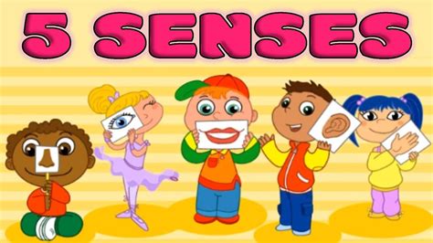 5 Senses Clipart Preschool 5 Senses Preschool Transparent Free For